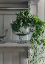 135520_3.webp