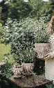 2A1A6328---beige2.webp