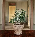 214920_2.webp