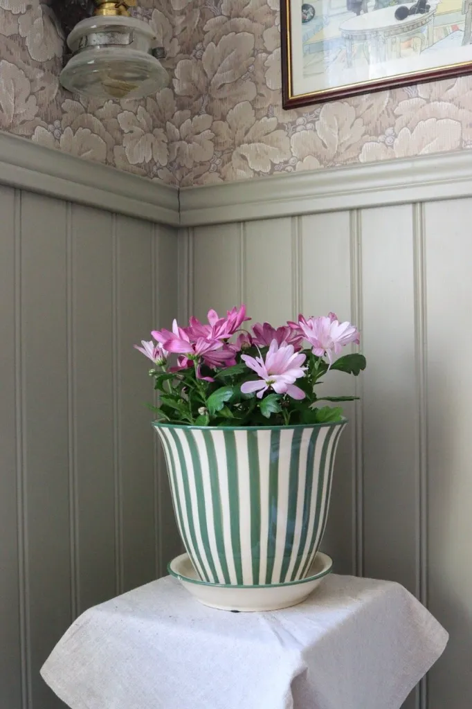 IMG_7713---stor.webp