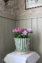 IMG_7713---stor.webp