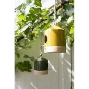 05968_13.webp