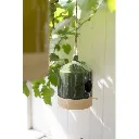 05969_13.webp