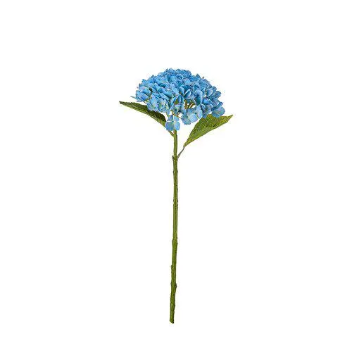 99572_3.webp