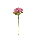 99572_2.webp