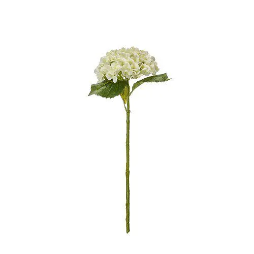 99572_4.webp