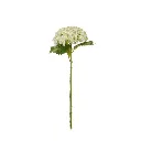 99572_4.webp