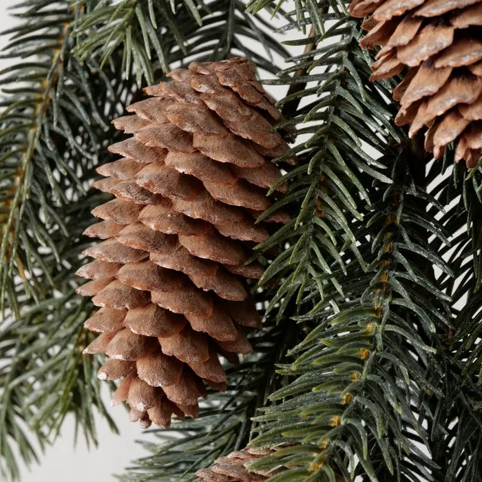 Detailbild-xz-1ppNf-large.webp