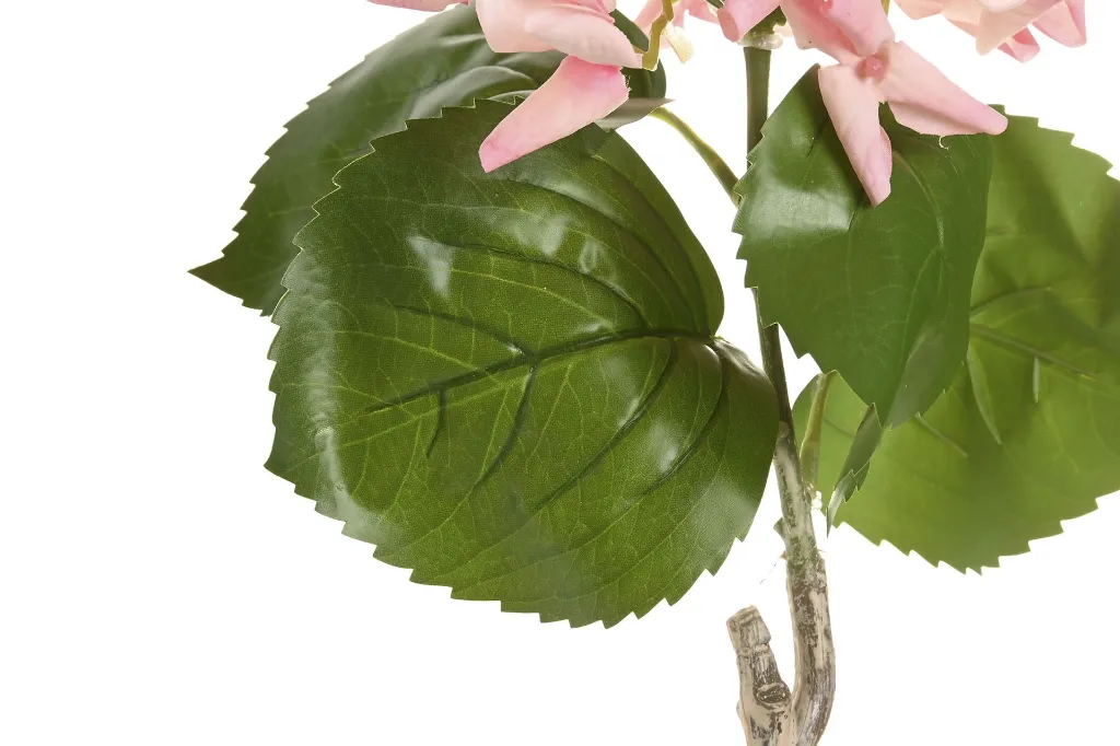 JA-224071-2.webp
