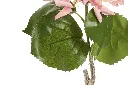 JA-224071-2.webp