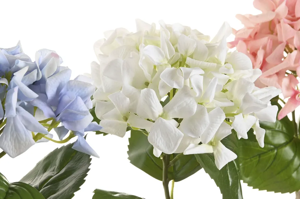 JA-224071-1.webp