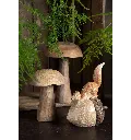 17577_8.webp