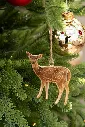 31007_6.webp