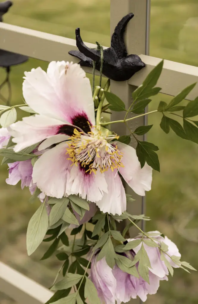 Captura de pantalla 2025-11-25 193303.webp