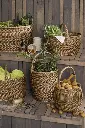 Trend083_29024-67_29023-67_29021-67_4262-48_15004-35_29020-67_29022-67_trend2.webp
