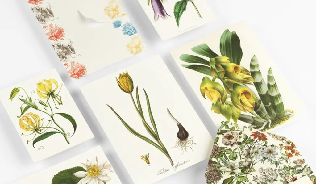 Captura de pantalla 2025-12-30 163644.webp