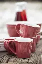 Trend062_2041-33_trend01.webp