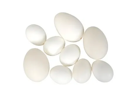 [3856] Caja 9 Huevos Surtidos