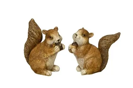 Ardilla resina 