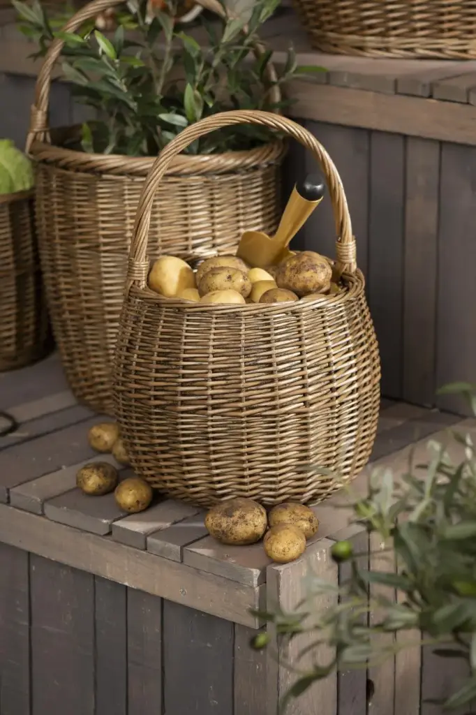 Cesta Redonda con Asa