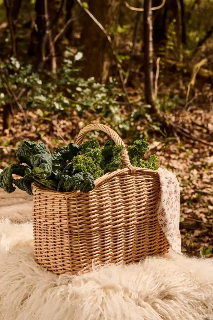 Cesta Cuadrada con Asa