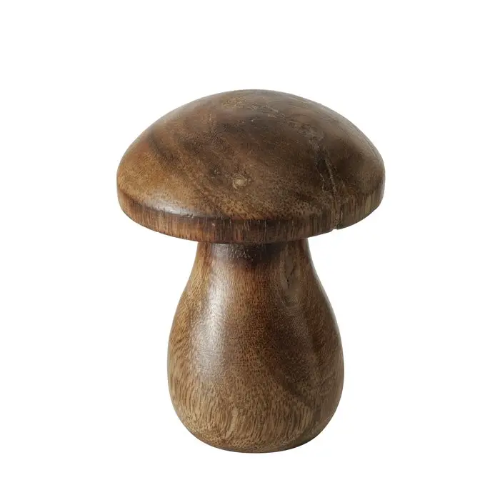 Seta Madera 7,00 cm, Mango 