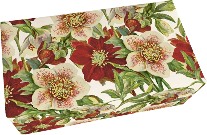 Jabón Pastilla 200gr