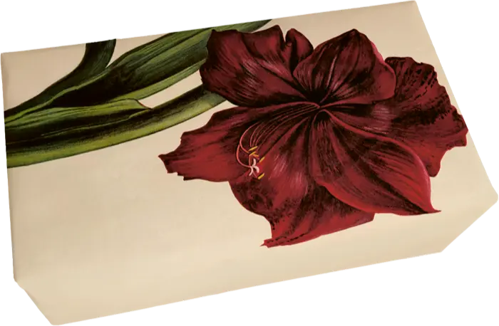 Jabón Pastilla 200gr