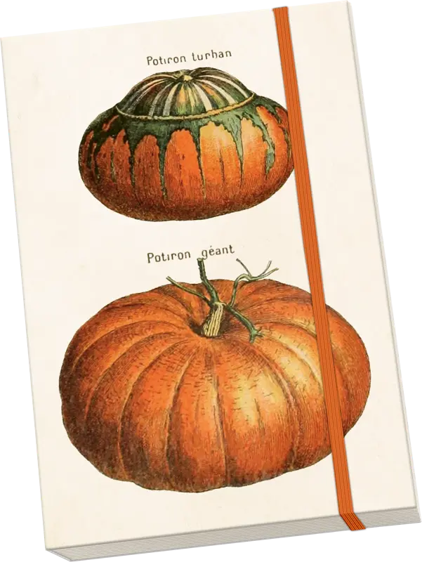 Libreta A5 Calabaza