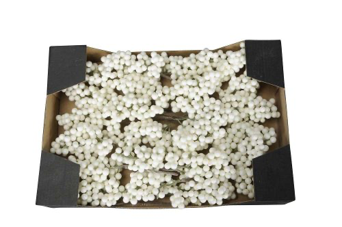 caja ramitas mini Blanca