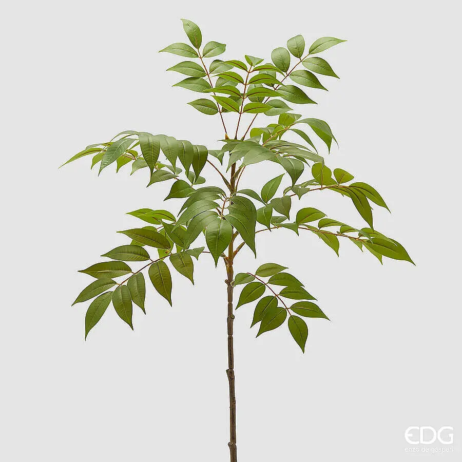 Rama hojas Plinia 90cm