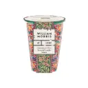Vela perfumada 180 g en tarro de porcelana - W. Morris (Pavo Real y Ave)
