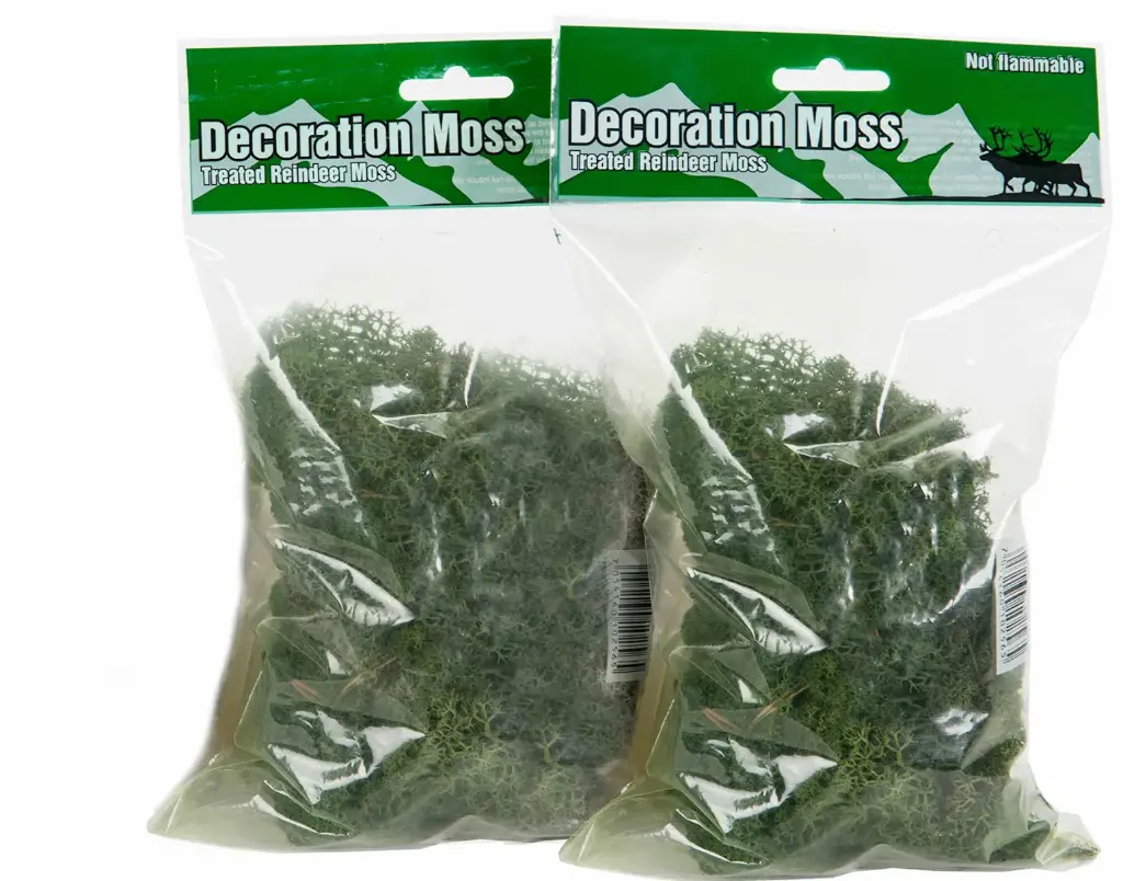 Musgo en Bolsa Verde Ignífuga