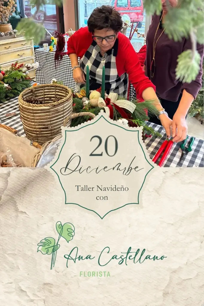 Taller Centros 20 Diciembre 