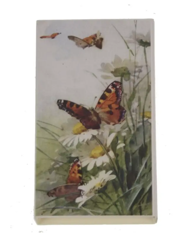 Cerillas Mariposas 11x6,5x2 cm