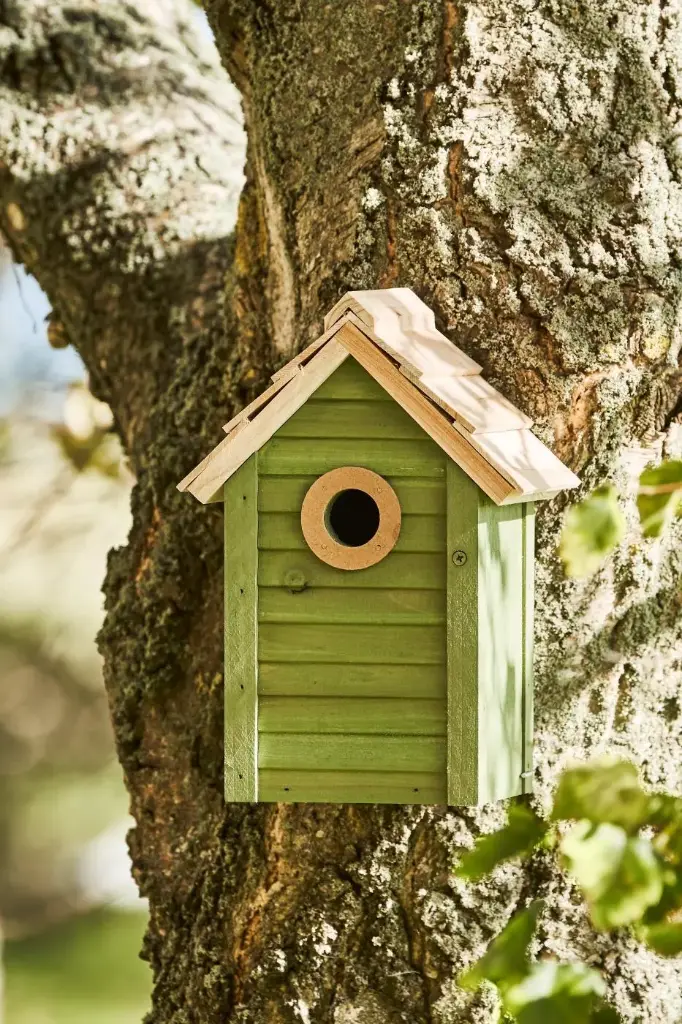 Casa para pájaros verde
