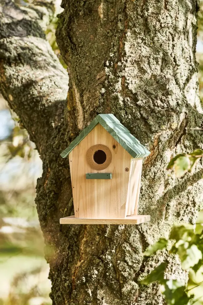 Casa para pájaros de color natural con techo verde