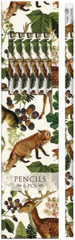 [STPEN45] Caja 6 Lapices Bosque