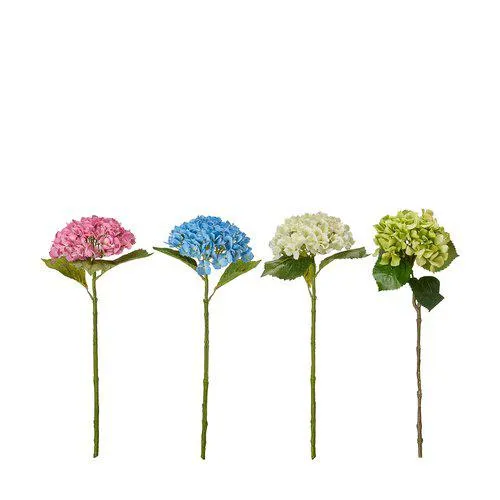 [99572] Hortensia varios colores