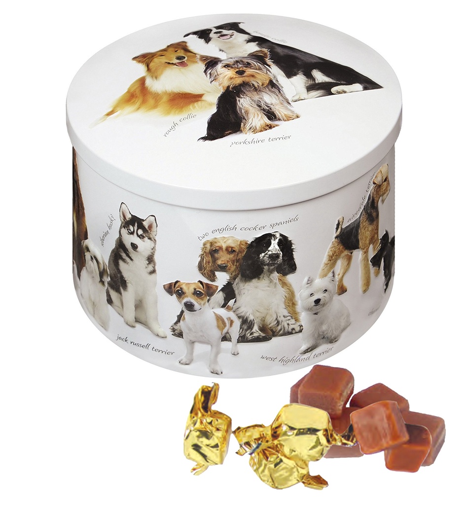 Lata Fudge perros