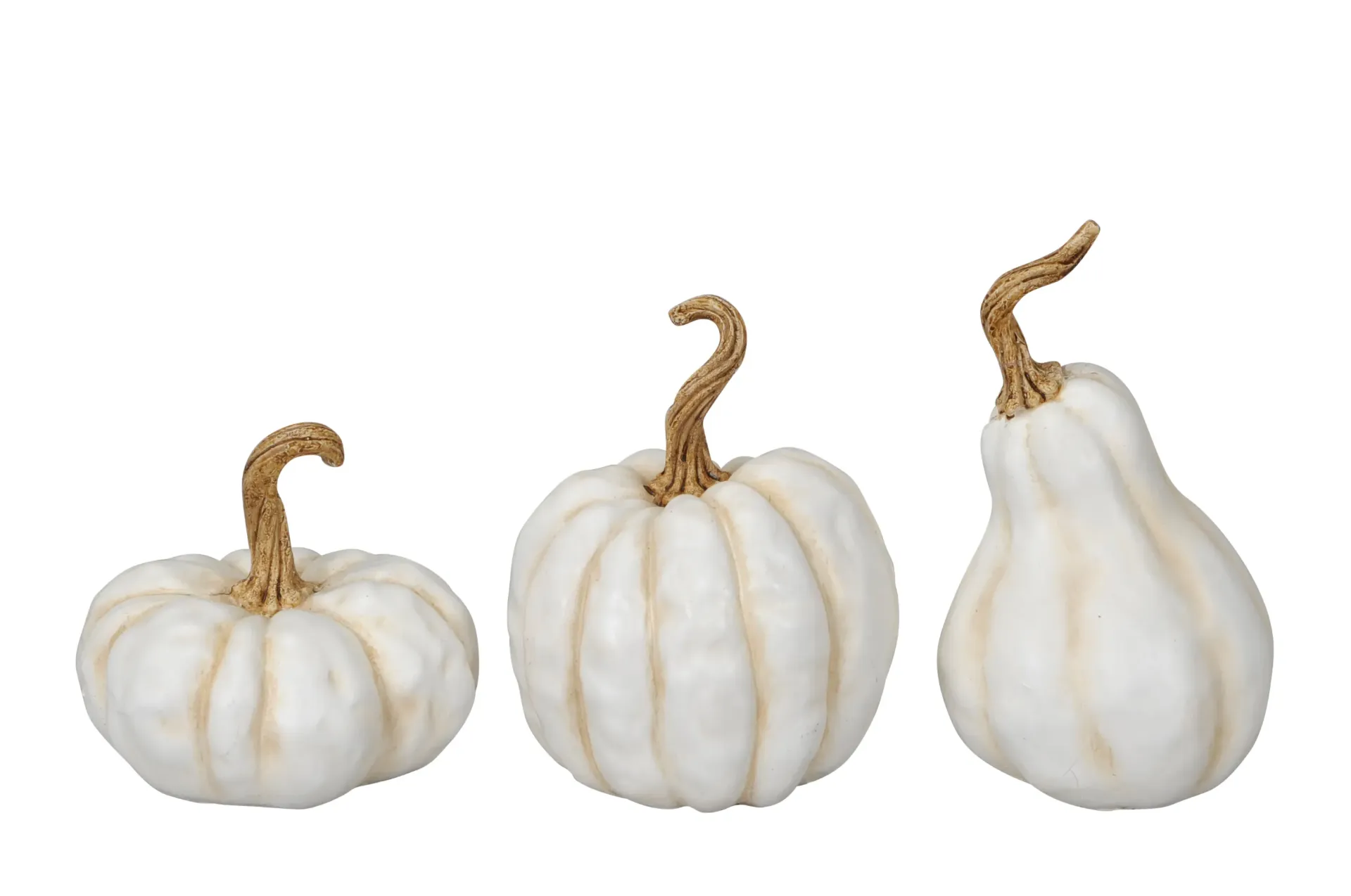 Calabaza Blanca Mediana, 3 estilos surtidos