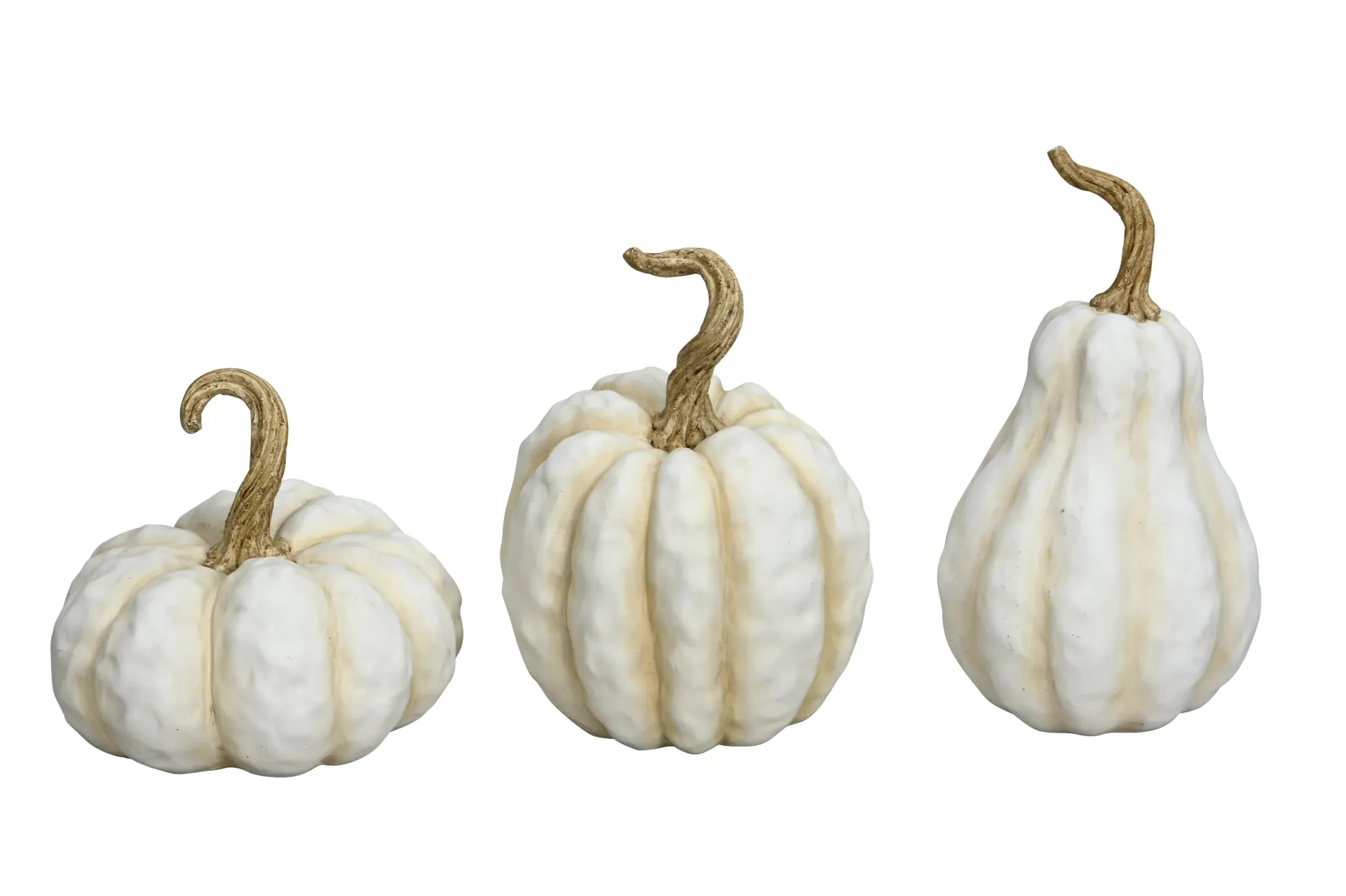 Calabaza Blanca Grande, 3 estilos surtidos