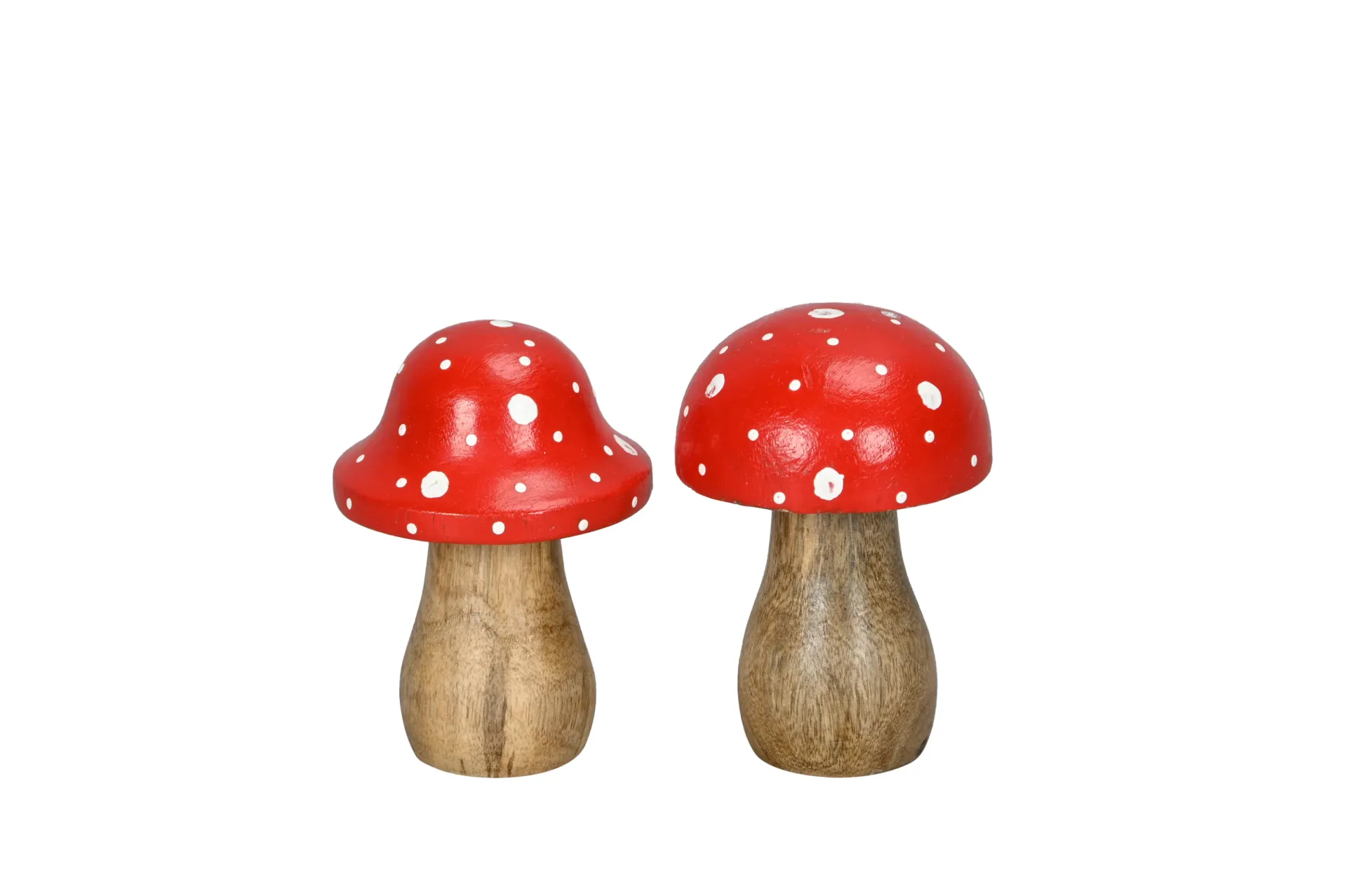 Seta Roja, 2 estilos surtidos