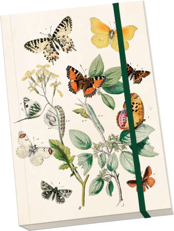 Libreta A5 Mariposas