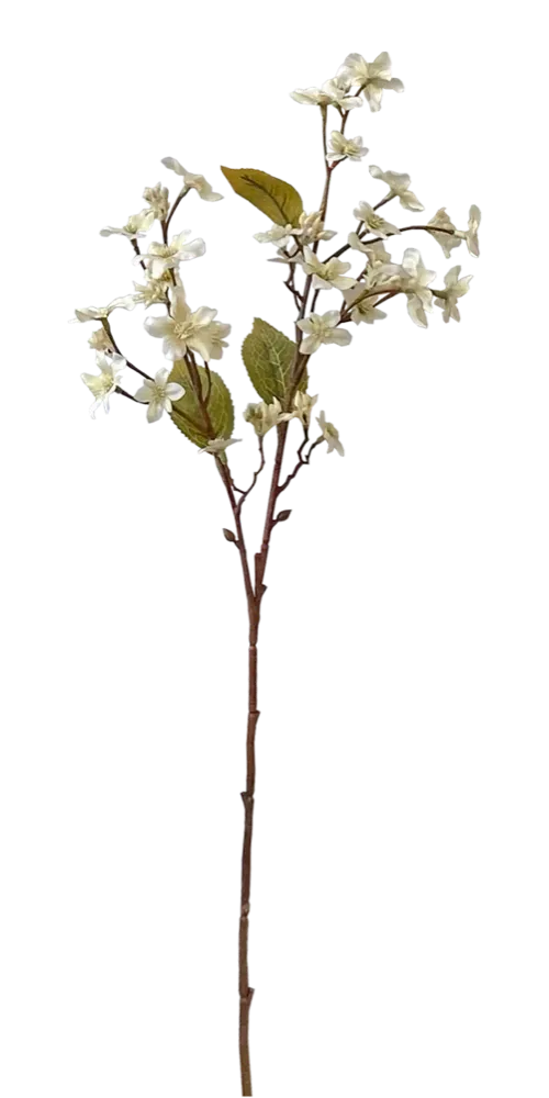 rama flor blanca