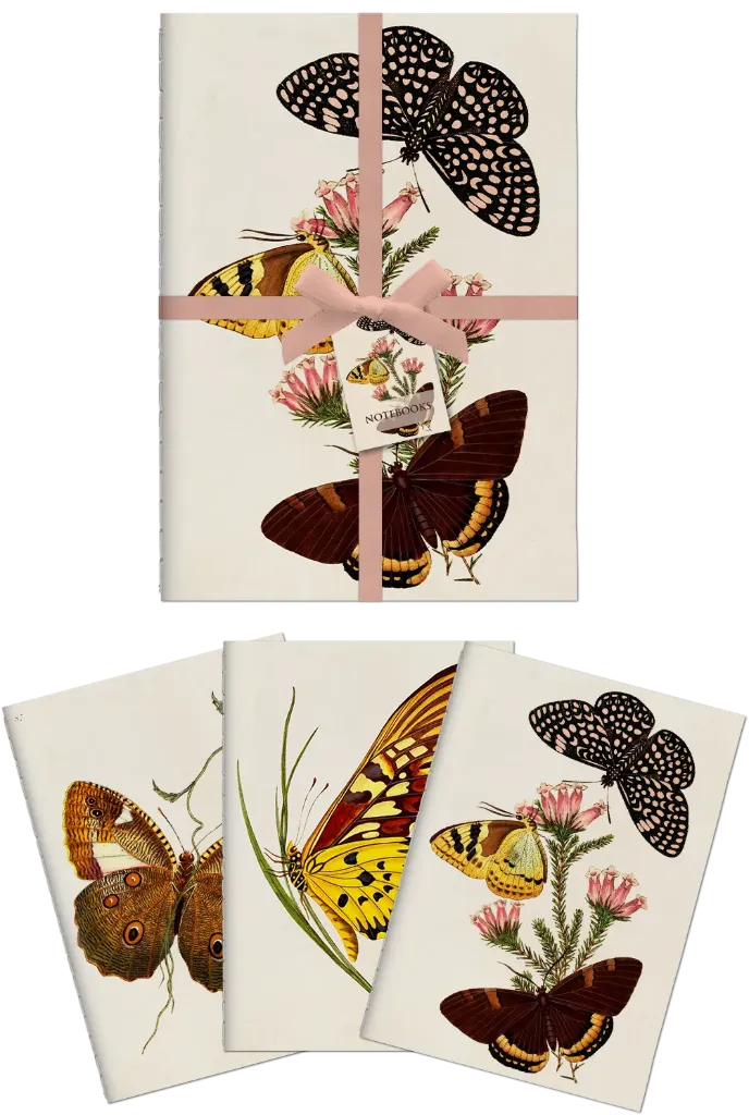 3 Libretas A6 Mariposas