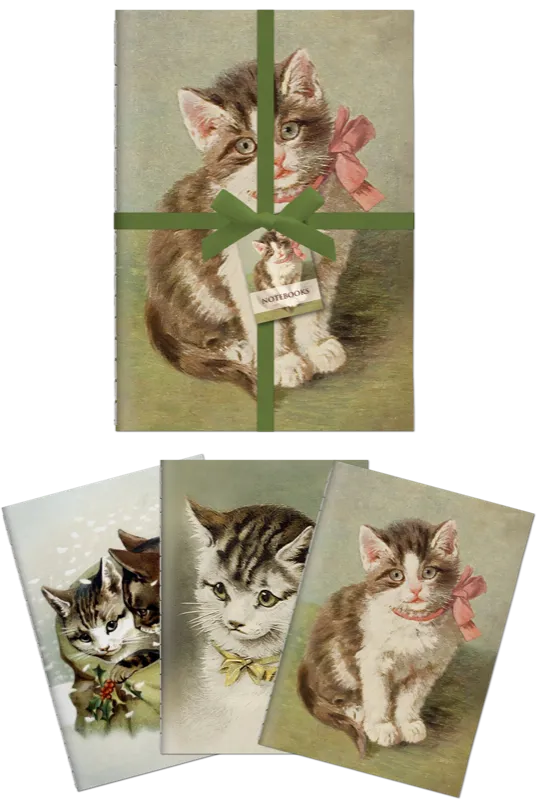 3 Libretas A6 Gatitos