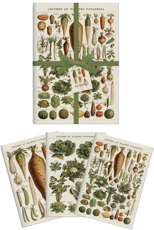 3 Libretas A6 Verduras