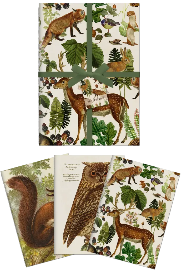 3 Libretas A6 Bosque