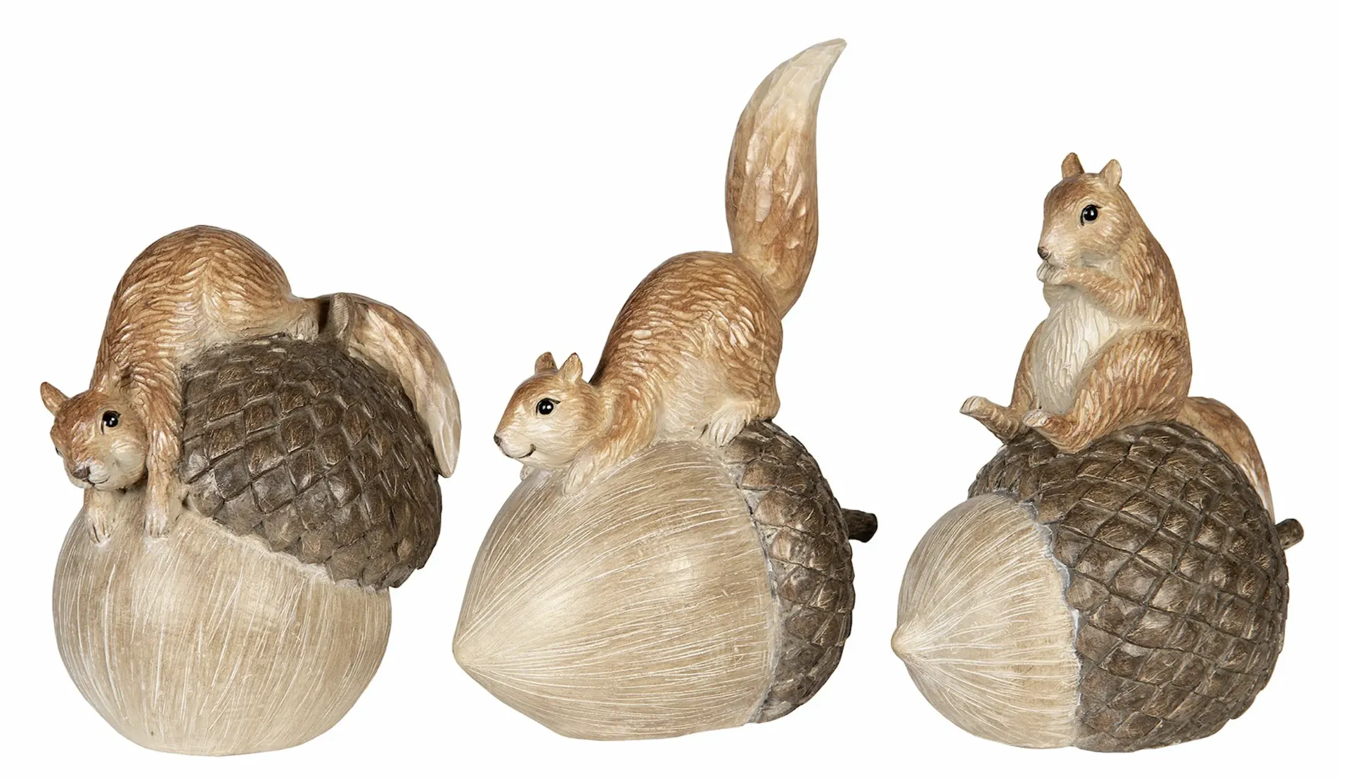 Ardillas en bellota